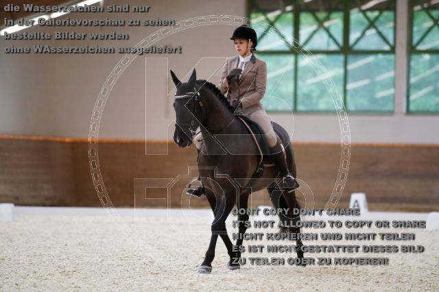 s_K3F09272.JPG
